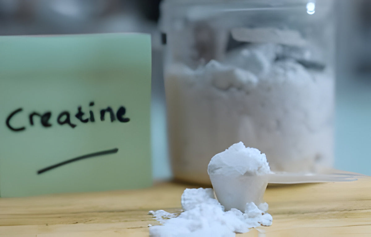 How Many Days Creatine Shows Results? Timeline – Spartan Nutrition