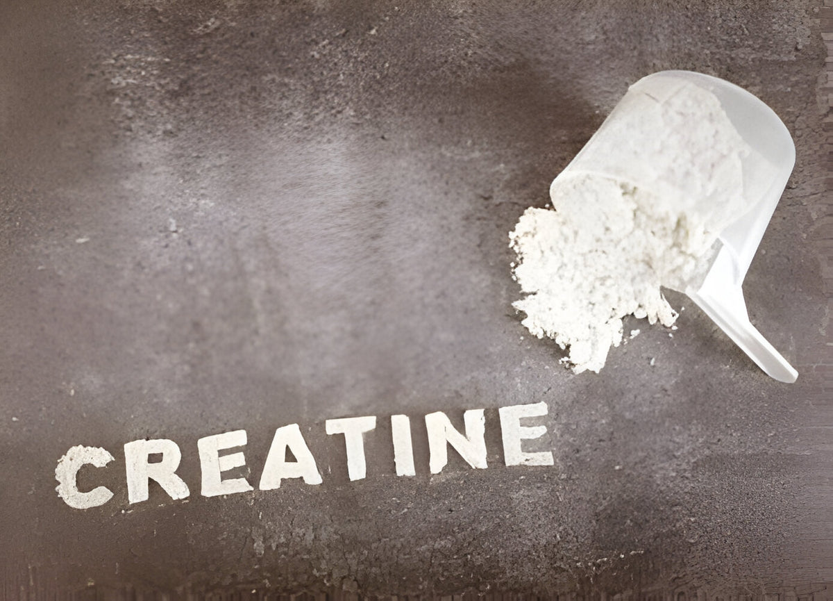 Pre Workout and Creatine Together: Best Practices – Spartan Nutrition