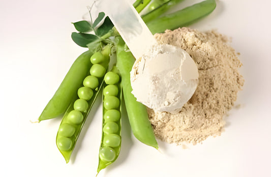 Is Whey Protein Vegetarian?