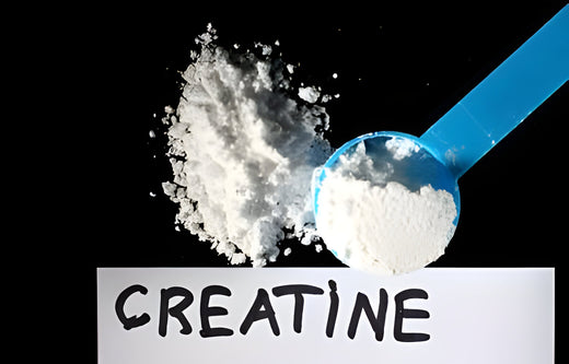 Does Creatine Increase Weight?