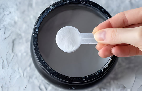 Best Creatine for Men: Top Recommendations to Try – Spartan Nutrition