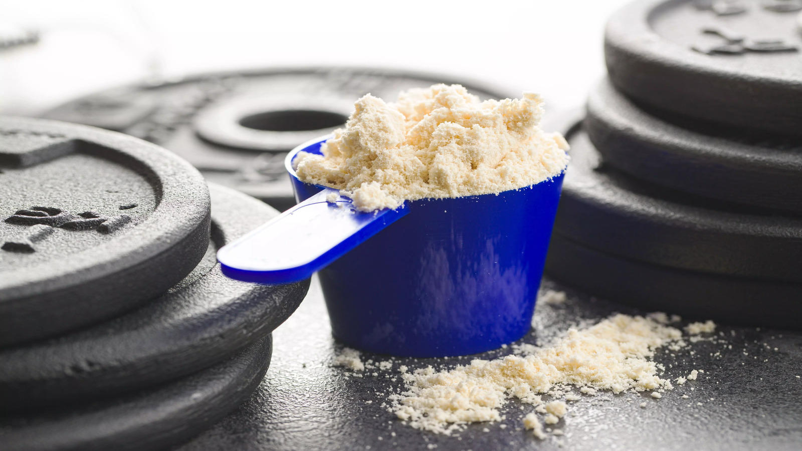 Which Whey Protein is Best for Muscle Gain? A Guide – Spartan Nutrition