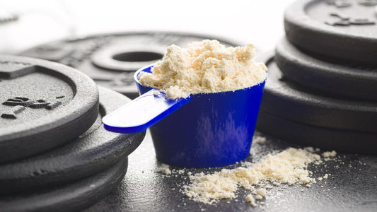 Which Whey Protein is Best for Muscle Gain